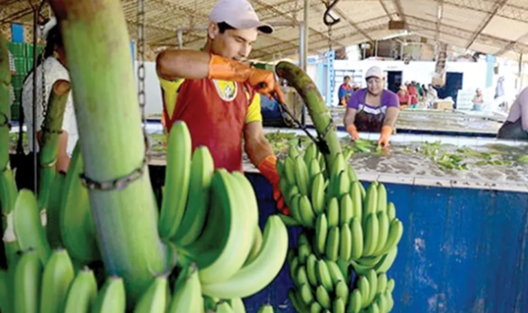 Comprometen envío de combustible al Trópico y darán prioridad a productores