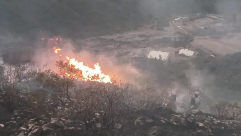 Gobierno activa operativo de gran magnitud para combatir incendio en Tarija