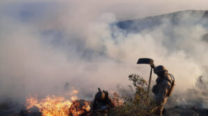 b_50097_fuertes-vientos-reactivan-incendio-en-el-parque-tunari-y-ponen-en-riesgo-mas-de-200-hectareas-de-bosque-1