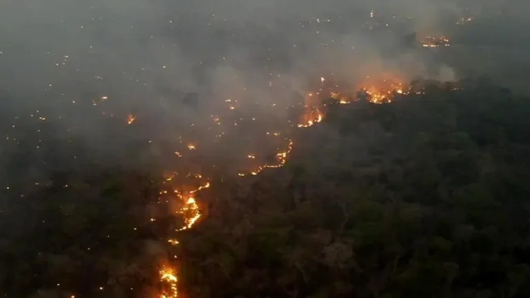 Tribunal Agroambiental da 48 horas a autoridades para informar sobre prevención de incendios