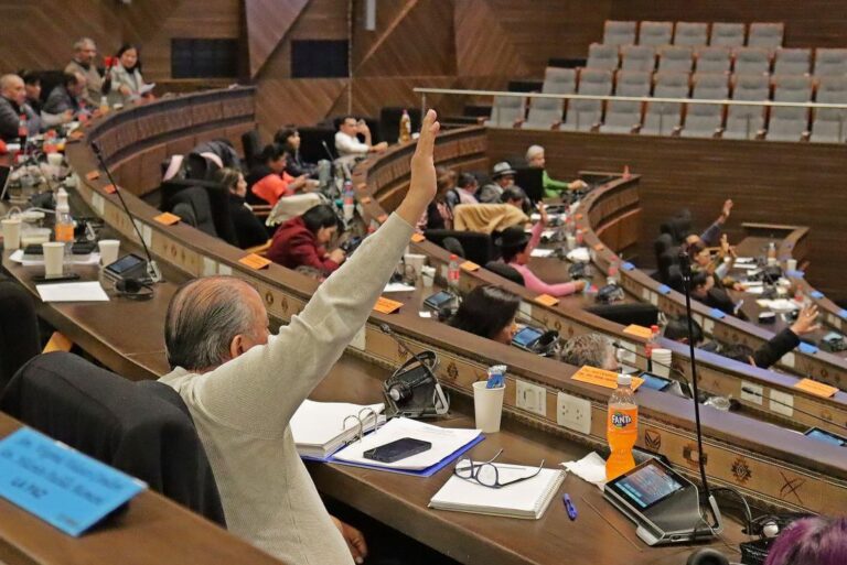 Diputada del MAS impulsa diferimiento de créditos para aliviar economía