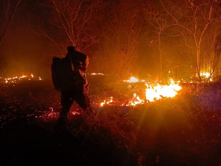 Santa Cruz declara emergencia departamental por incendios forestales