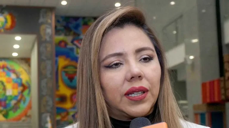 Gobierno descarta viaje de Arce a Brasil y asegura que se concentra en la transición