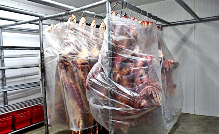Instruyen una auditoría a la exportación de carne
