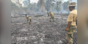 AREAS_INCENDIOS_13-10