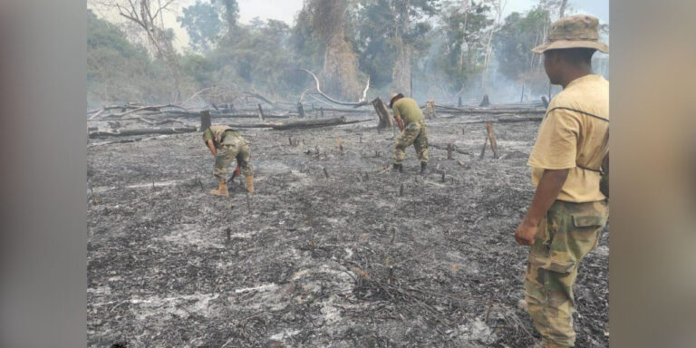 Gobierno reduce áreas perjudicadas por los incendios con el manejo integral del fuego
