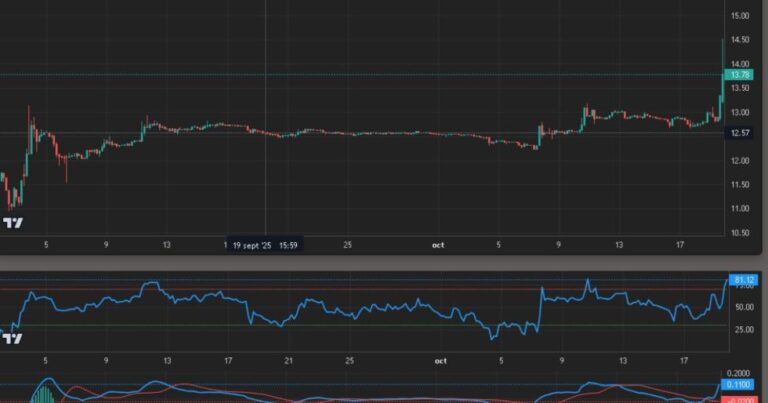 Cotización del dólar paralelo se dispara en Bolivia: 1 USDT supera los 14 bolivianos