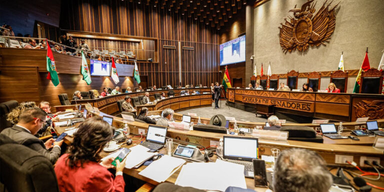 En el Senado reactivan debate sobre la designación del Contralor General del Estado