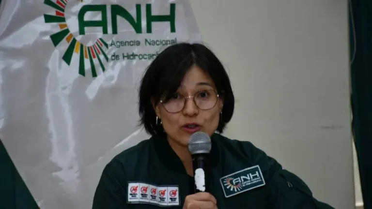 Citan a declarar a la Directora de la ANH como testigo en caso relacionado a YPFB