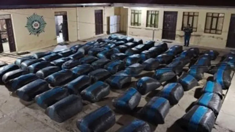Carnaval: Incautan más de 4.7 toneladas de marihuana y 79 kilos de cocaína en operativos